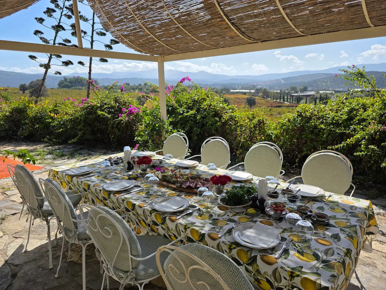 Farm to Table Cooking Party